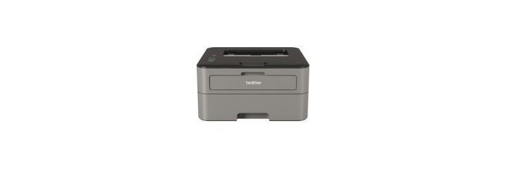 BROTHER HL-L2300D